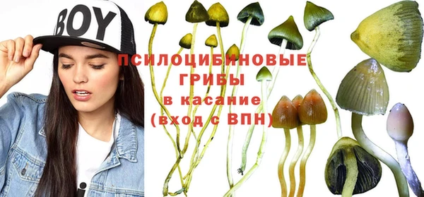 марки lsd Заводоуковск
